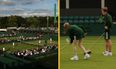 Wimbledon accused of sacking temporary staff for ‘bizarre’ reasons