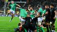 Full Ireland player ratings as history made with stunning All Blacks series win