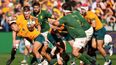 Rassie Erasmus responds to Australian media story about Springbok peeing at training session