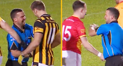 Players and mentors line up to shake referee’s hand as ‘Respect the ref’ kicks off in Wexford