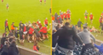 Shocking scenes as brawl extends into the stands during Oulart-the-Ballagh vs Naomh Barróg