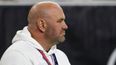 Dana White apologises after being caught slapping his wife on film