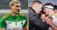 QUIZ: How many of the 33 county SFC champions for 2022 can you name?