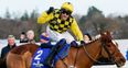 Cheltenham festival Day One: All the odds, tips, action and talking points