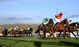 Cheltenham festival Day Two: All the odds, tips, action and talking points