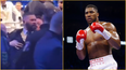 Tony Bellew almost comes to blows with trainer after Anthony Joshua fight