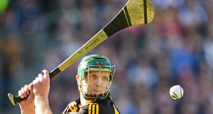 GAA’s new maximum hurl length wouldn’t have suited Kilkenny legends