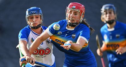 “Any family gatherings usually involved a game of hurling” – DNA strong for the McGraths