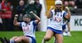 Carton unstoppable as Waterford wave overpowers Tipp