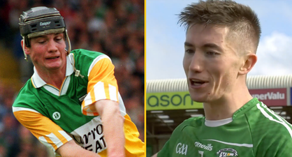 How a veterinary practice brought Offaly roots to Wexford county final day