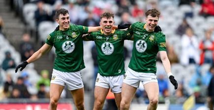 Meath dominate Tailteann Cup Team of the Year while some big hitters miss out