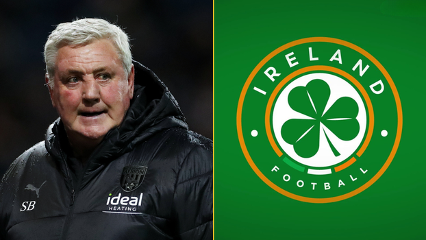 Steve Bruce Ireland