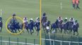 Jockey left shocked after loose horse causes chaos at Punchestown