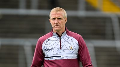 Henry Shefflin steps down as Galway hurling manager