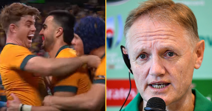 Joe Schmidt gets off to winning start as Australia boss