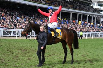 Legendary racehorse Allaho retired from racing aged ten