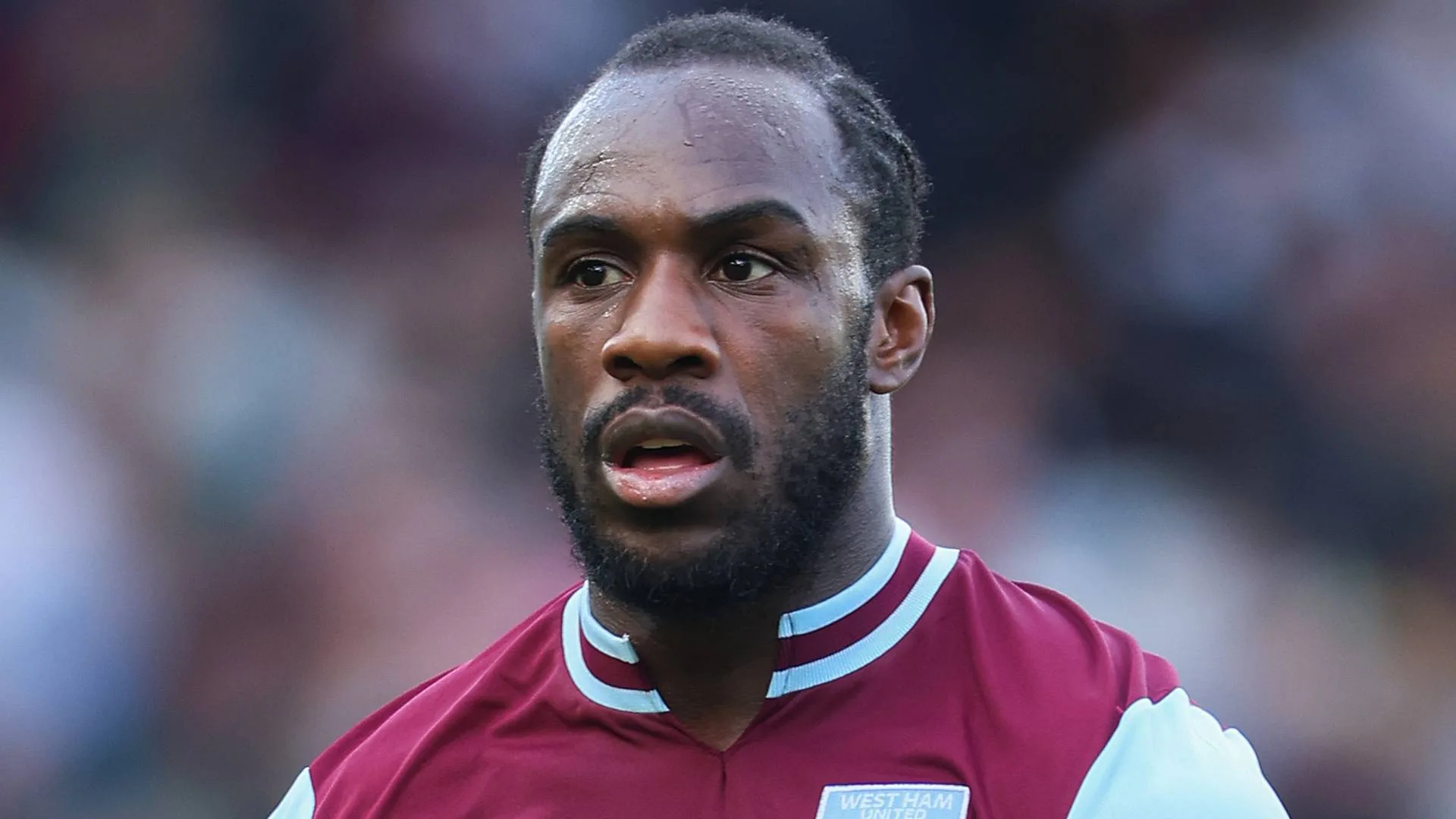 Michail Antonio's first words following horror crash revealed by dog walker