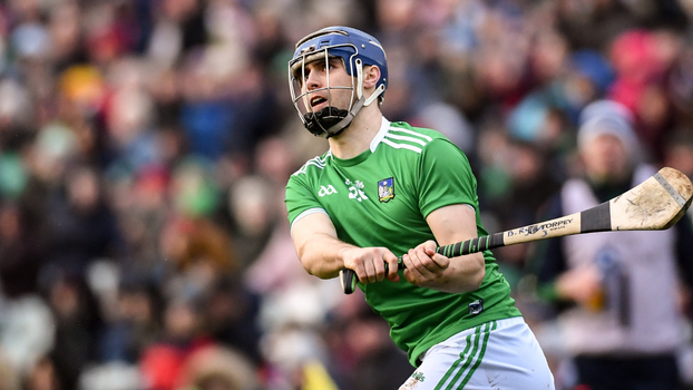 limerick dublin gaa brian ryan