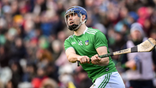 Limerick All-Ireland winner called up to Dublin panel