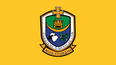 People only just noticing Roscommon GAA’s new badge after wrong sheep breed forced change