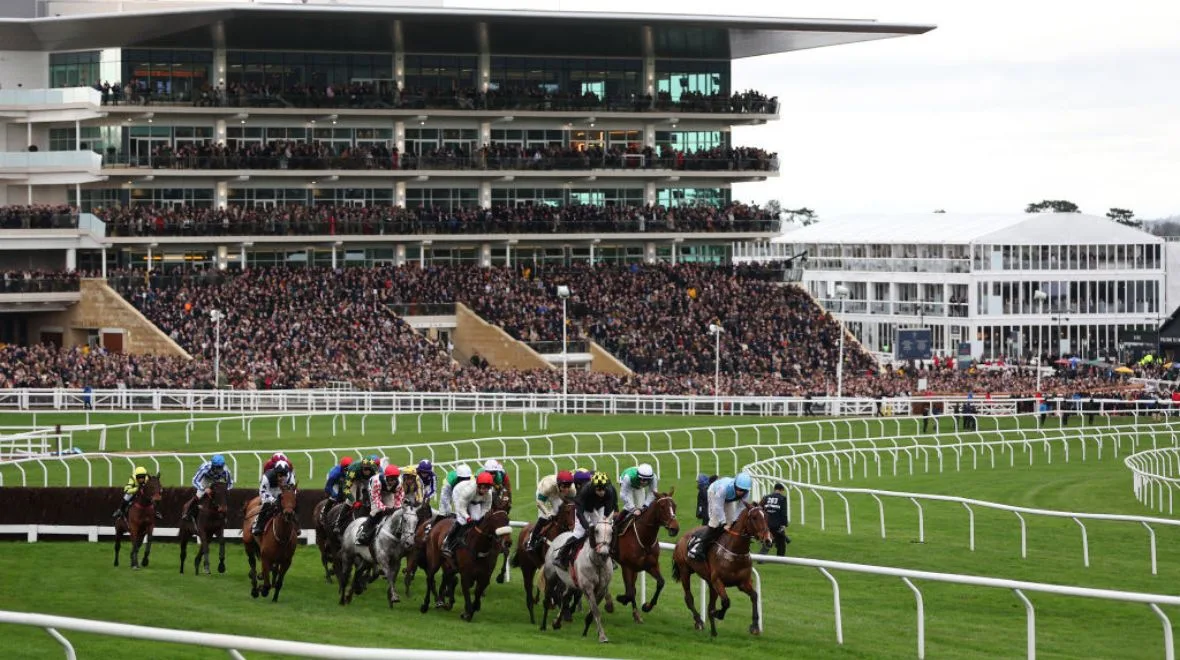 Cheltenham Festival tickets have been released for 2026 – and with a discount